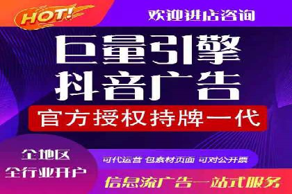 SEM推广实战：成功案例剖析