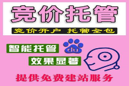 百度推广费用优化策略：成功案例分享